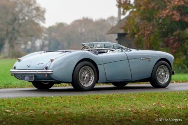 Austin Healey 100/4 BN1, 1955