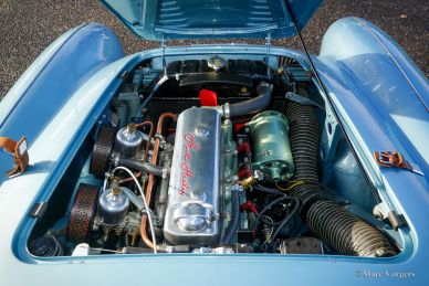 Austin Healey 100/4 BN2, 1956