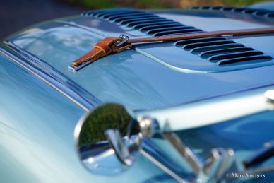 Austin Healey 100/4 BN2, 1956