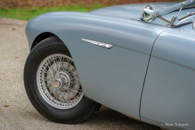 Austin Healey 100/4, 1955