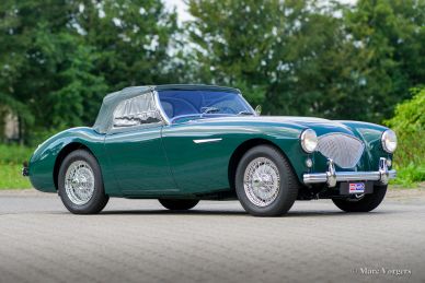 Austin Healey 100/4 BN1, 1955