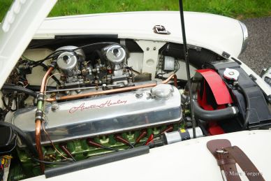 Austin Healey 100/6 BN4, 1957