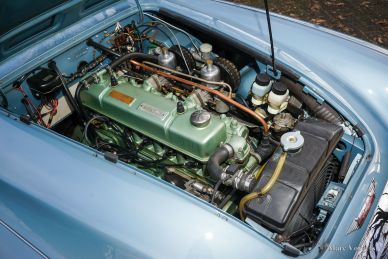 Austin Healey 100/6 BN4, 1957