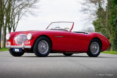 Austin Healey 100/4 BN2, 1956