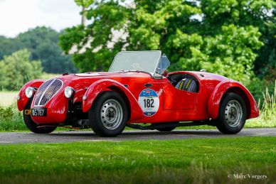 Healey Silverstone D-type, 1949