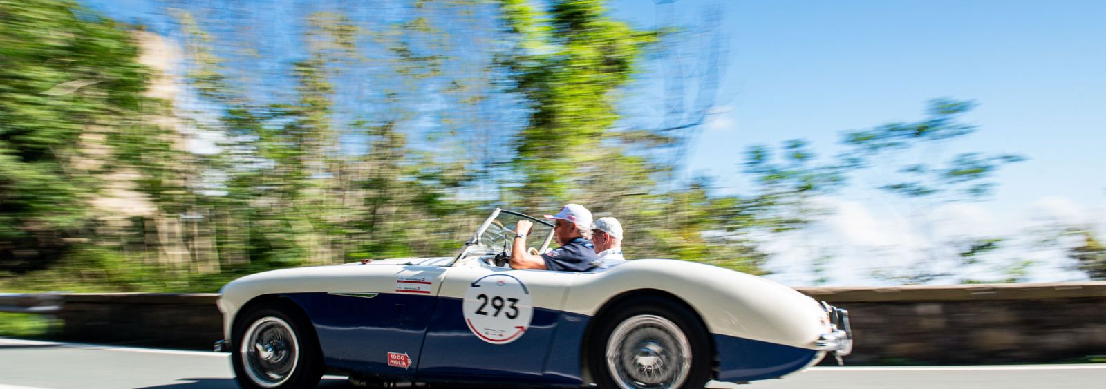 Austin Healey 100/M BN1, 1954 Mille Miglia preparation
