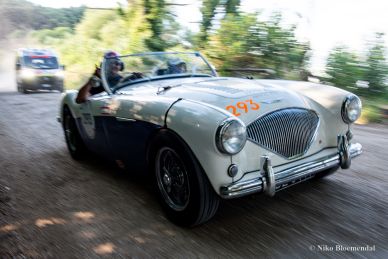 Austin Healey 100/M BN1, 1954 Mille Miglia preparation