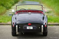 Triumph TR 2 ‘long door’, 1954
