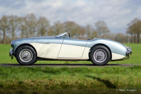 Austin Healey 100/4 (BN1), 1955