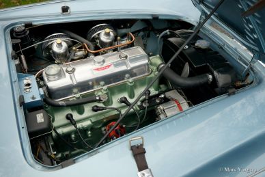 Austin Healey 100/4 BN1, 1955