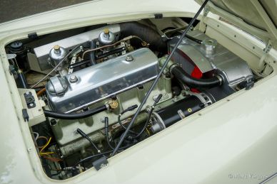 Austin Healey 100/4 BN1, 1953