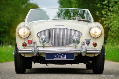 Austin Healey 100/4 BN1, 1955