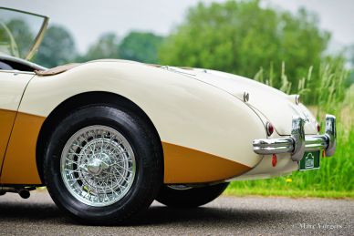 Austin Healey 100/4 BN1, 1955