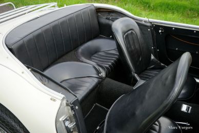 Austin Healey 100/6 BN4, 1957