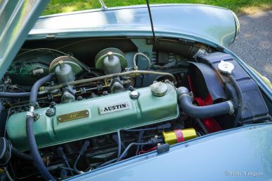 Austin Healey 100/6, 1958