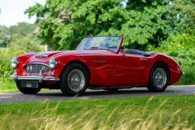 Austin Healey 100/6, 1959