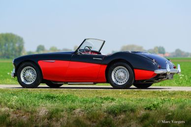 Austin Healey 3000 Mk I, 1959