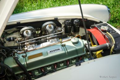 Austin Healey 3000 Mk I (BN7), 1960