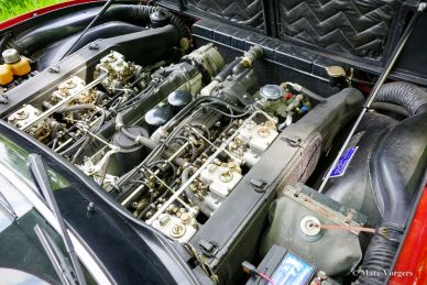 Ferrari 365 GTC/4, 1972