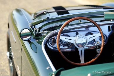 Austin Healey 100/4 BN-1, 1954