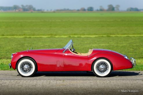 Jaguar XK 120 OTS, 1954