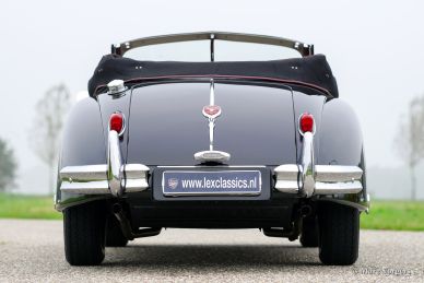 Jaguar XK 140 SE DHC, 1955