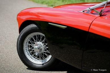 Austin Healey 100/4, 1954