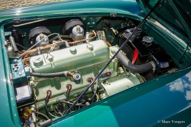 Austin Healey 100/4 BN1, 1955