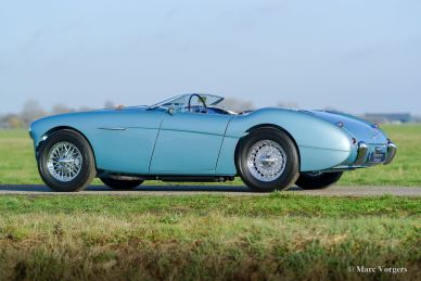 Austin Healey 100/M BN2 ‘Le Mans’, 1956
