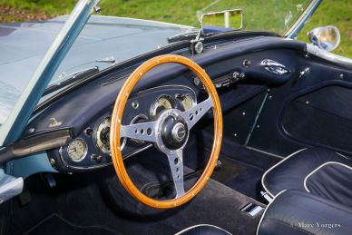 Austin Healey 100/6 BN4, 1957