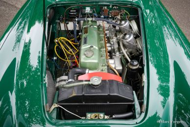 Austin Healey 100/6 BN6 ‘two-seater’, 1958