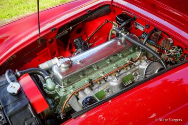 Austin Healey 100/6, 1959