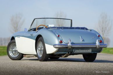 Austin Healey 100/6 (BN4), 1957