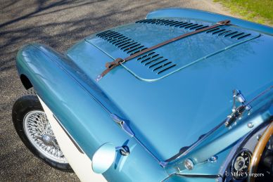 Austin Healey 100/4 BN2 ‘Le Mans’, 1956