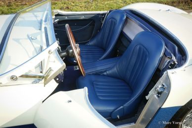 Austin Healey 100/4 BN1, 1955