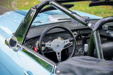 Austin Healey 3000 MK II A Rally Car, 1964