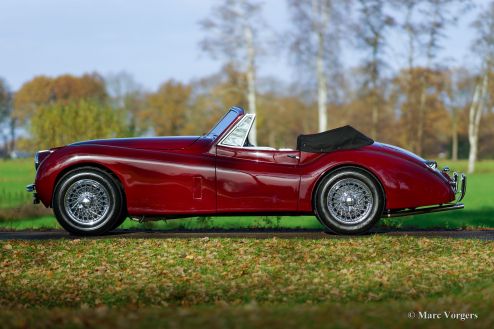 Jaguar XK 120 DHC, 1953