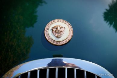 Jaguar XK 120 OTS, 1954