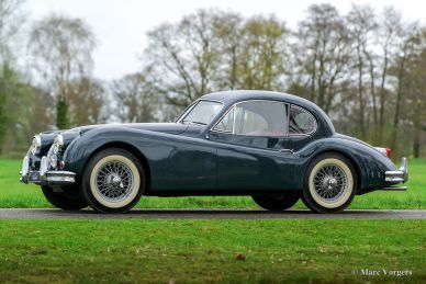 Jaguar XK 140 FHC, 1956