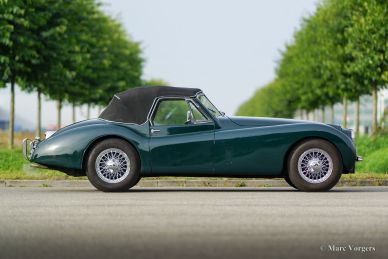 Jaguar XK 120 DHC, 1954