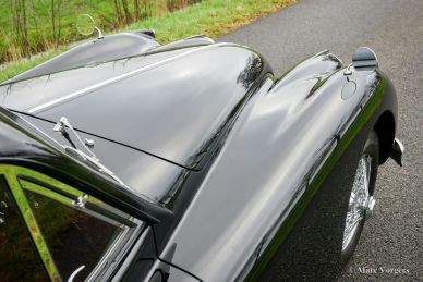 Jaguar XK 140 SE FHC, 1956