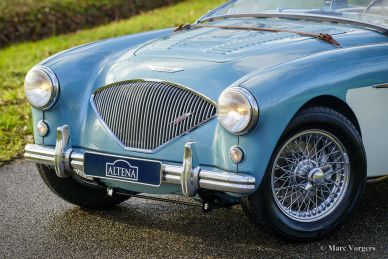 Austin Healey 100/4 BN2, 1956