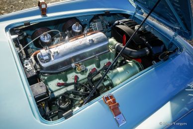 Austin Healey 100/4 BN2, 1956