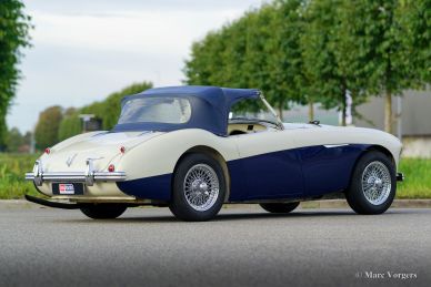 Austin Healey 100/4 ‘Le Mans’, 1955