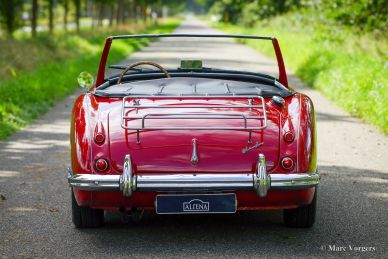 Austin Healey 100/6, 1959