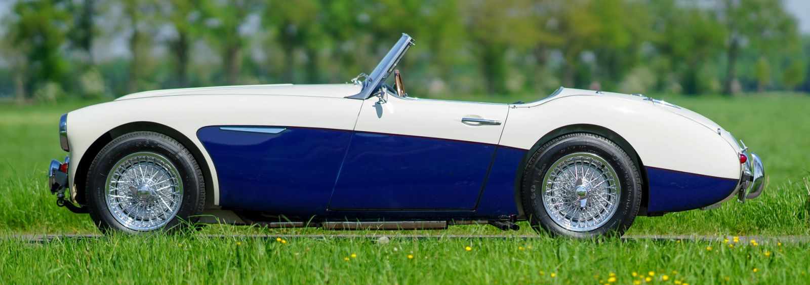 Austin Healey 100/6 ‘two-seater’, 1958