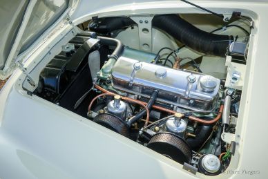 Austin Healey 100/4 BN1, 1955