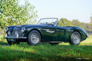 Austin Healey 100/6, 1957