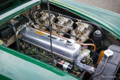 Austin Healey 3000 Mk 3, 1966