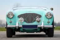 Austin Healey 100/4 BN-1, 1954